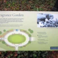Alice Recknagel Ireys. Fragrance Garden, Brooklyn Botanic Garden, NYC, EE.UU.