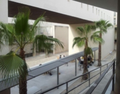 Dolores Alonso Vera; Pilar Fructuoso (arquitecta colaboradora). Espacios exteriores del edificio IV de la Escuela Politécnica de Alicante, 2015, Alicante, España