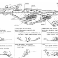 Vittoria Calzolari, Plan para el Parque de la Antigua Appia (1976-1990) / Criterios para la reconstrucción del ambiente vegetal / Elaboración original de Vittoria Calzolari.